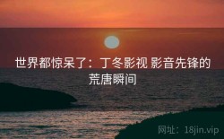 世界都惊呆了：丁冬影视 影音先锋的荒唐瞬间