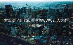 太离谱了！YSL蜜桃色WWW让人笑翻 · 离谱692