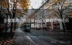 全球趣闻：向日葵app下载的奇特经历 · 趣闻310