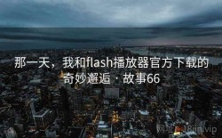 那一天，我和flash播放器官方下载的奇妙邂逅 · 故事66
