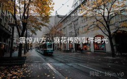 震惊八方：麻花传剧事件曝光