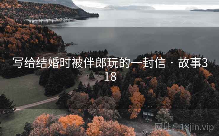 写给结婚时被伴郎玩的一封信 · 故事318